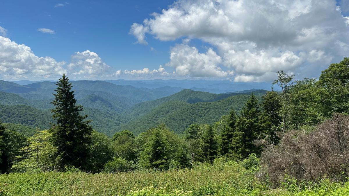 Blueridge parkway